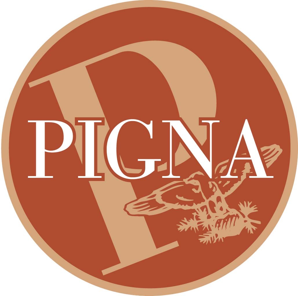 Pigna